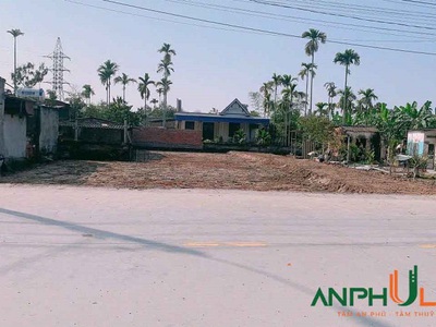 Chính chủ gửi bán 2 lô đất xã Quang Trung  xã Cao Nhân cũ , TP Thủy Nguyên, Hải Phòng 0