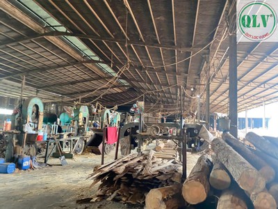 Cho thuê nhà xưởng 19.989m2 phù hợp cưa xẻ,sấy tẩm gỗ Hớn Quản, Bình Phước. 2
