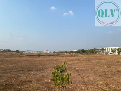 Bán 2 lô đất liền kề trong kcn Đồng Xoài 3 diện tích 7.891m2-8.337m2 vị trí vàng đầu tư. 2