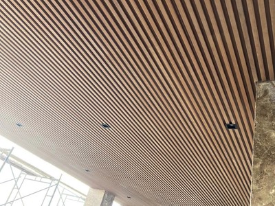 Tấm ốp tường cho ngoại thất, gỗ nhựa Ecowood 2