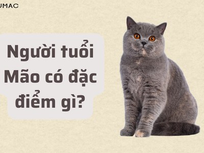 Sự kết hợp HOÀN HẢO của tuổi Mão và màu sắc 2