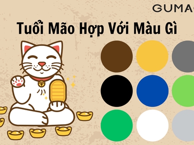Sự kết hợp HOÀN HẢO của tuổi Mão và màu sắc 1
