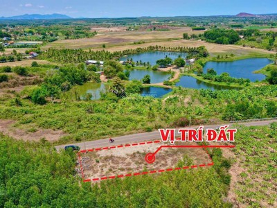 Hàng hiếm tại xã long tân, long đất, bà rịa vũng tàu, 170m2 giá 6xx 3