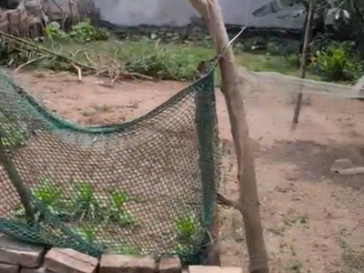 Chính chủ cần bán 2 lô đất đẹp - giá tốt - vị trí đắc địa tại thành phố hà nội 1