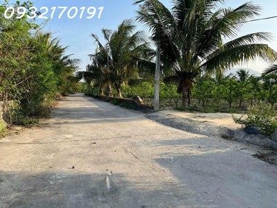 Bàn cờ cam hiệp nam- đường lớn- qh an giữ lại- có thổ cư giá chỉ 1,5 tỷ- lô đầu tư tốt 2