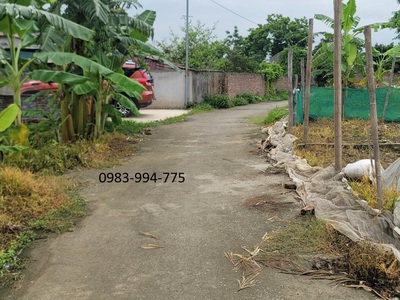 Bán đất trí quả, thuận thành. 65m2   mt 4,86m   2,45 tỷ. nở hậu, đường ô tô 2
