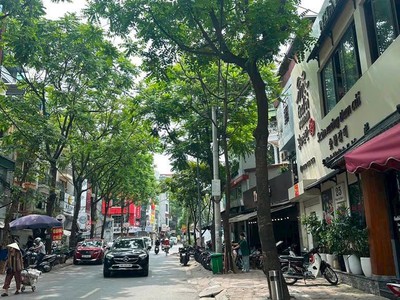 Bán nhà đào tấn, biệt thự vip, ở sướng, 30m ra phố, 110m mt6m chỉ 20.5 tỷ 4
