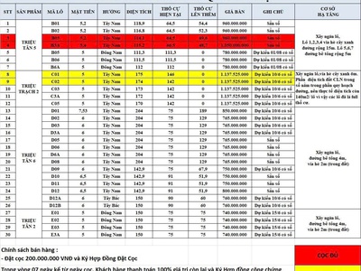 Đất biển full thổ 7 triệu/m , sát cao tốc, gần các dự án lớn   cơ hội khó gặp lại 4