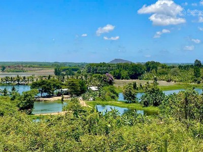 Hàng hiếm tại xã long tân, long đất, bà rịa vũng tàu, 170m2 giá 6xx 2