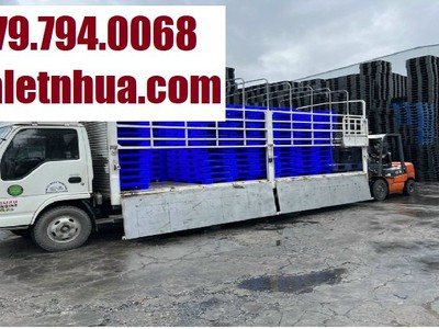 Những công dụng khi sử dụng pallet nhựa tại Cần Thơ 2