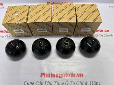 Bầu tích áp giảm chấn Lexus LX570 Toyota Land Cruiser 49151-60020, 49141-60020 2