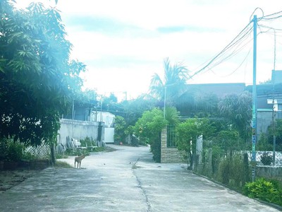Hàng hiếm-1,8 tỷ- đường 8m ô tô né nhau- giáp cam đức-có thổ cư-đáng để mua-qh an toàn. 3