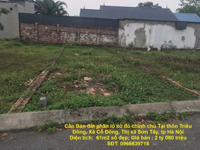 Cần bán đất phân lô sổ đỏ chính chủ tại thôn triều đông, xã cổ đông, thị xã sơn tây, tp hà nội 0