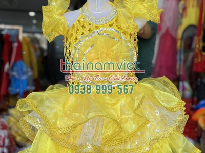 May bán đầm múa trẻ em kim sa tại TPHCM 12