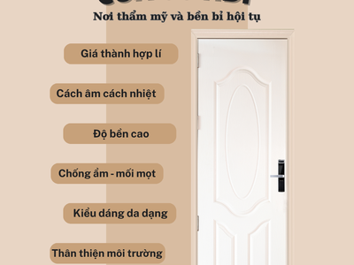 Cửa gỗ HDF 1