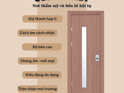 Cửa gỗ HDF 3