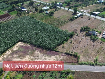 Vừa đầu tư, vừa nghỉ dưỡng   đất nền Long Tân lý tưởng 1
