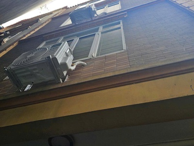 Đội Cấn 33m2 x Mặt tiền to đẹp 4.6M - 3 mặt thoáng - Cách ô tô dừng đỗ 20M. 0