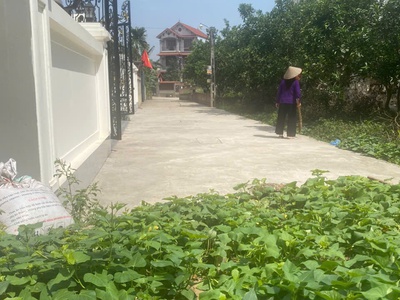 Mình cần bán đất tráng việt, mê linh - alo mình -chính chủ mình luôn 0