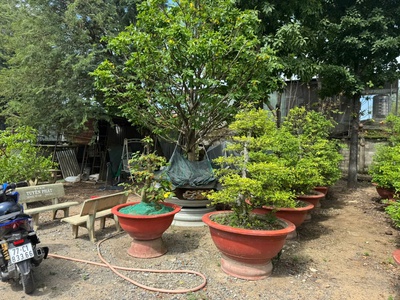 Bán gấp  3973m2 đất- võ thị hồi - xuân thới sơn hóc môn chỉ nhỉnh 10tr/1m2 1