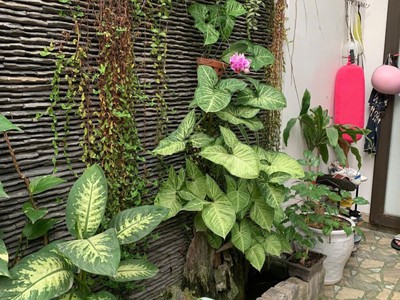 Gấp bán  nhà mới full nội thất, dt 60m2, ngang 7.5m, 2 tầng ở ngay, chỉ 3.68 tỷ 2