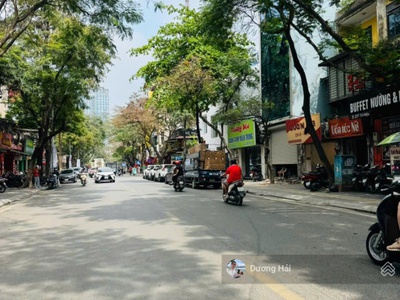 Bán nhà phân lô tại nguyễn thị định cầu giấy - 102m 7 tầng thang máy - ô tô vỉa hè vườn hoa 3