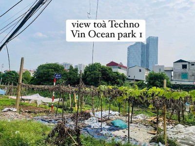 Bán đất đa tốn gia lâm - diện tích rộng xây nhà vườn, đối diện vin ocean park 1 1