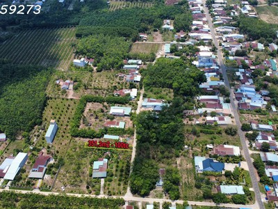 Bán gấp lô góc 424m   100m  thổ cư , giá chỉ 850 triệu 4
