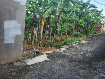  lô đất gần khu công nghiệp   ở hay kinh doanh đều tốt   giá cực hời 1