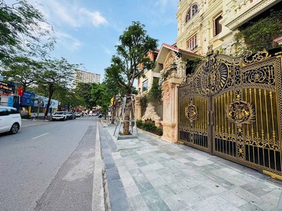 Mặt Phố Nguyễn Thị Thập Đỗ Quang 215M2 Mặt Tiền 13M 130 Tỷ Vỉa hè rộng 0