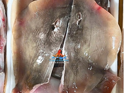 Cá đuối 0