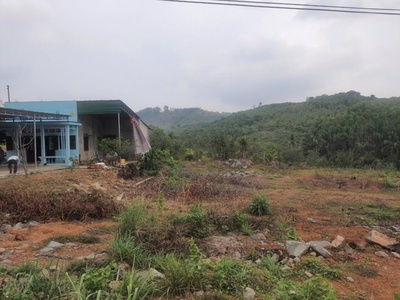 Đất Chính Chủ Cực Đẹp Ngay Mặt Tiền Quốc Lộ 20- Xã La Ngà- Huyện Định Quán- Đồng Nai 2