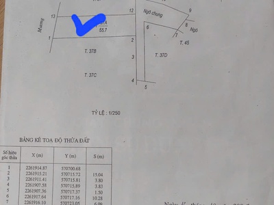 Chính chủ cần bán nhanh lô đất tại ngõ đông mạc   khu đô thị thống nhất   phường thống nhất   nam 0