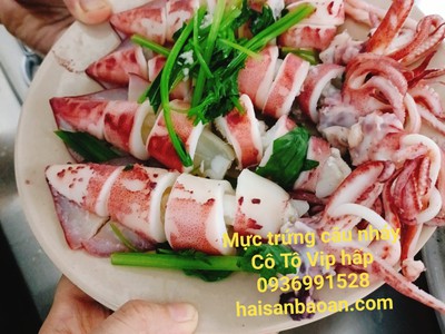 Báo giá mực trứng câu vip ngon 0
