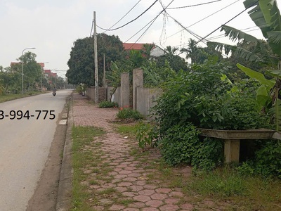 Bán đất lương tài, bắc ninh. 100m2   mt 5,2m   2,6 tỷ. ô tô tránh, vỉa hè kinh doanh 1