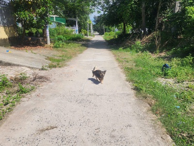 Bán 197m2 đất thổ cư tân an, thị xã lagi giá siêu rẻ 850 triệu sổ riêng 0