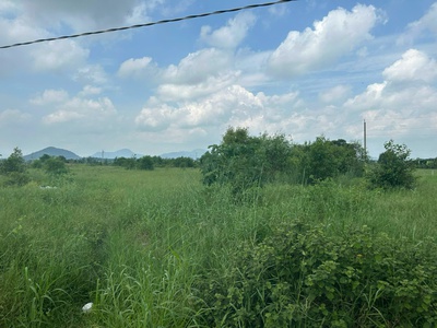 Bán 1 hecta đất tân tiến - tx lagi chỉ 504 triệu/ sào gần biển 1