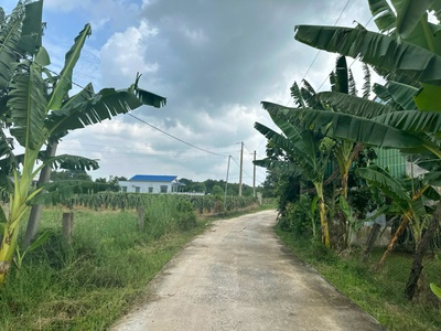 Bán 1 hecta đất tân tiến - tx lagi chỉ 504 triệu/ sào gần biển 0