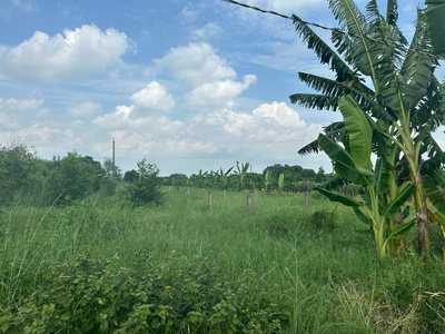 Bán 1 hecta đất tân tiến - tx lagi chỉ 504 triệu/ sào gần biển 3