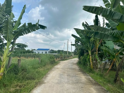 Bán 1 hecta đất tân tiến - tx lagi chỉ 504 triệu/ sào gần biển 4