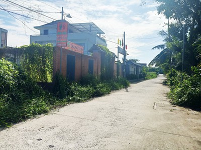 Bán đất đường 155 - 549m2 - 11x55 - 100m2 thổ cư - xã bình mỹ - củ chi 1
