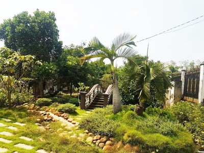 Nhà vườn 2 mặt tiền view sông 1/ tỉnh lộ 8 - 3382m2 - 55x58 - 250m2 - xã bình mỹ - củ chi 3