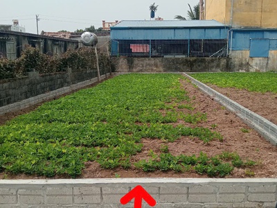 Chính chủ cần bán nhanh lô đất tại tổ dân phố 35-  đào cam mộc   uy nỗ - đông anh. 0