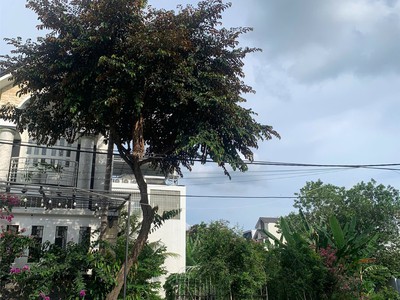 Đất vị trí đẹp - giá ưu đãi - cần bán nhanh đất tại ấp 5, phong phú, bình chánh, hcm 2