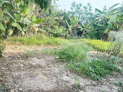 Đất đẹp   giá đầu tư   cần bán lô đất tại đường 605, xã điện hồng, thị xã điện bàn, quảng nam 3