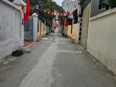 ☘. Cần bán 3 lô đất Bán ngõ To , Đường Thông Thoáng , Ô Tô Vào Trong nhà ngõ Bình Lộc , tphd. 1