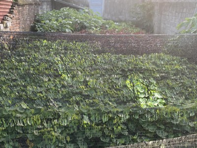 Bán đất sẵn sổ mặt tiền trung tâm xuân mai-chương mỹ 0