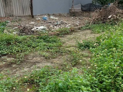 Rẻ và đẹp như này không mua thì mua ở đâu đất vạn 3 124m giá cho ae đầu tư khu vực đân cư than 0