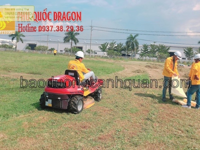 Dịch vụ cắt c.ỏ phát hoang ở Đồng Nai, HCM giá rẻ 0