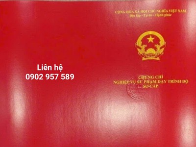 Muốn Dạy Nghề Nhưng Không Học Sư Phạm Có Được Không 0